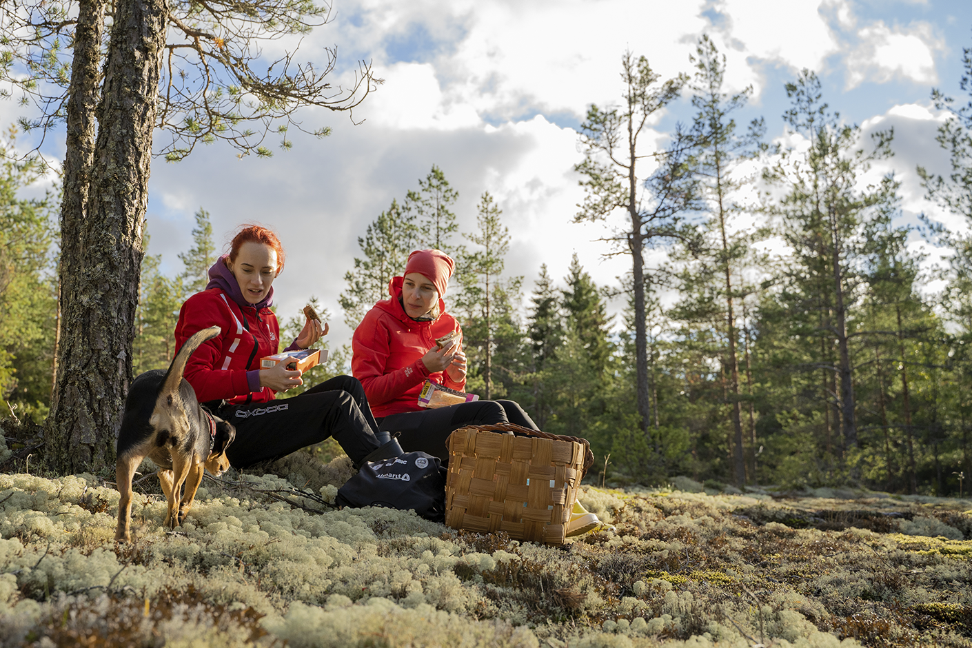 Luonnossa liikkumisen hyödyt